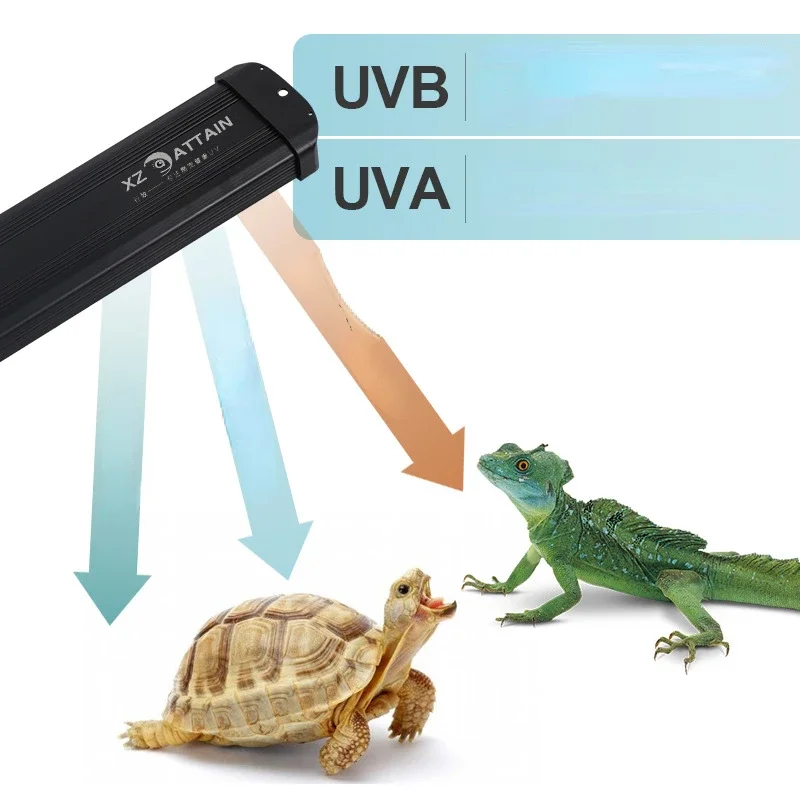 สัตว์เลื้อยคลาน UVA + UVB Full - Calcium Powder Reptile บทวิจารณ์และราคา