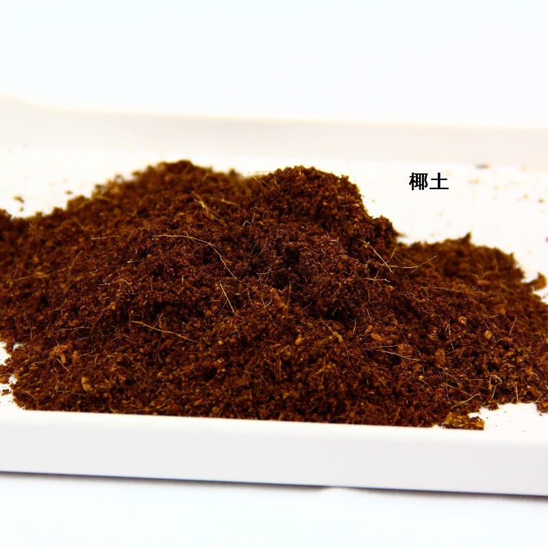อิฐดินมะพร้าวสำหรับสัตว์เลื้อย - Substrate Coconut Fiber บทวิจารณ์และราคา