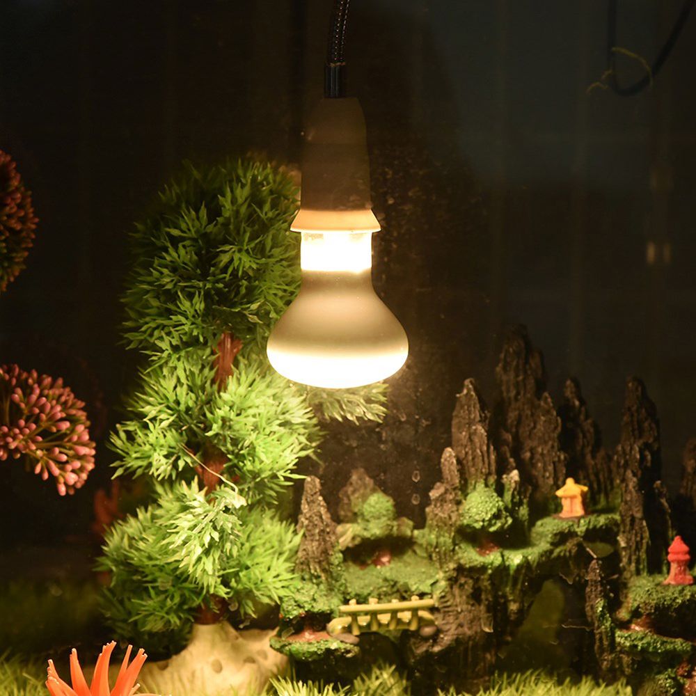 เครื่องควบคุมอุณหภูมิสำหรับสัต - Basking Bulb Halogen บทวิจารณ์และราคา