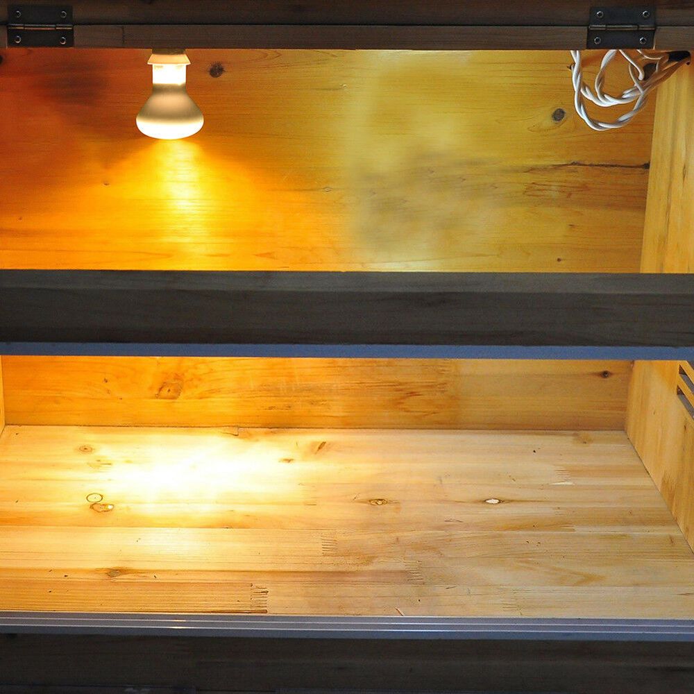 เครื่องควบคุมอุณหภูมิฮีตเตอร์ส - Basking Bulb Halogen บทวิจารณ์และราคา