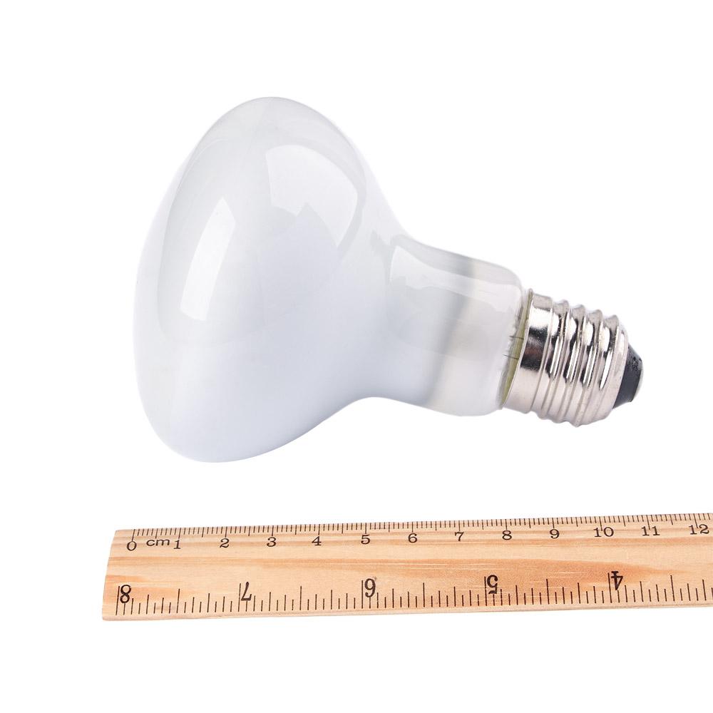 เครื่องควบคุมอุณหภูมิฮีตเตอร์ส - Basking Bulb Halogen บทวิจารณ์และราคา