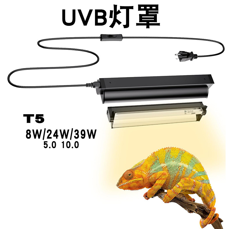 หลอดไฟ T5 UVB พร้อมชุดอุปกรณ์ต - Calcium Powder Reptile บทวิจารณ์และราคา